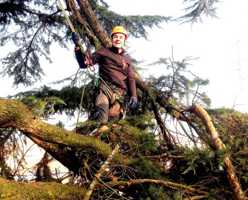 treeclimbing_12