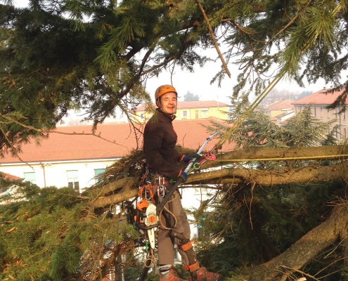 treeclimbing_16